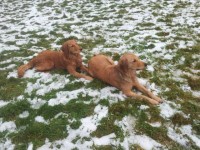 Sina Und Sunny Erster Februar